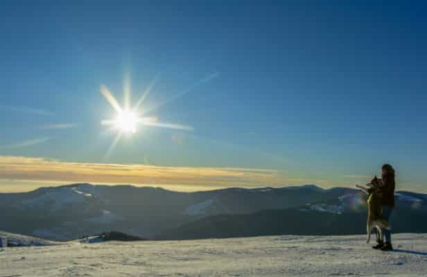 husky chocolat montagne