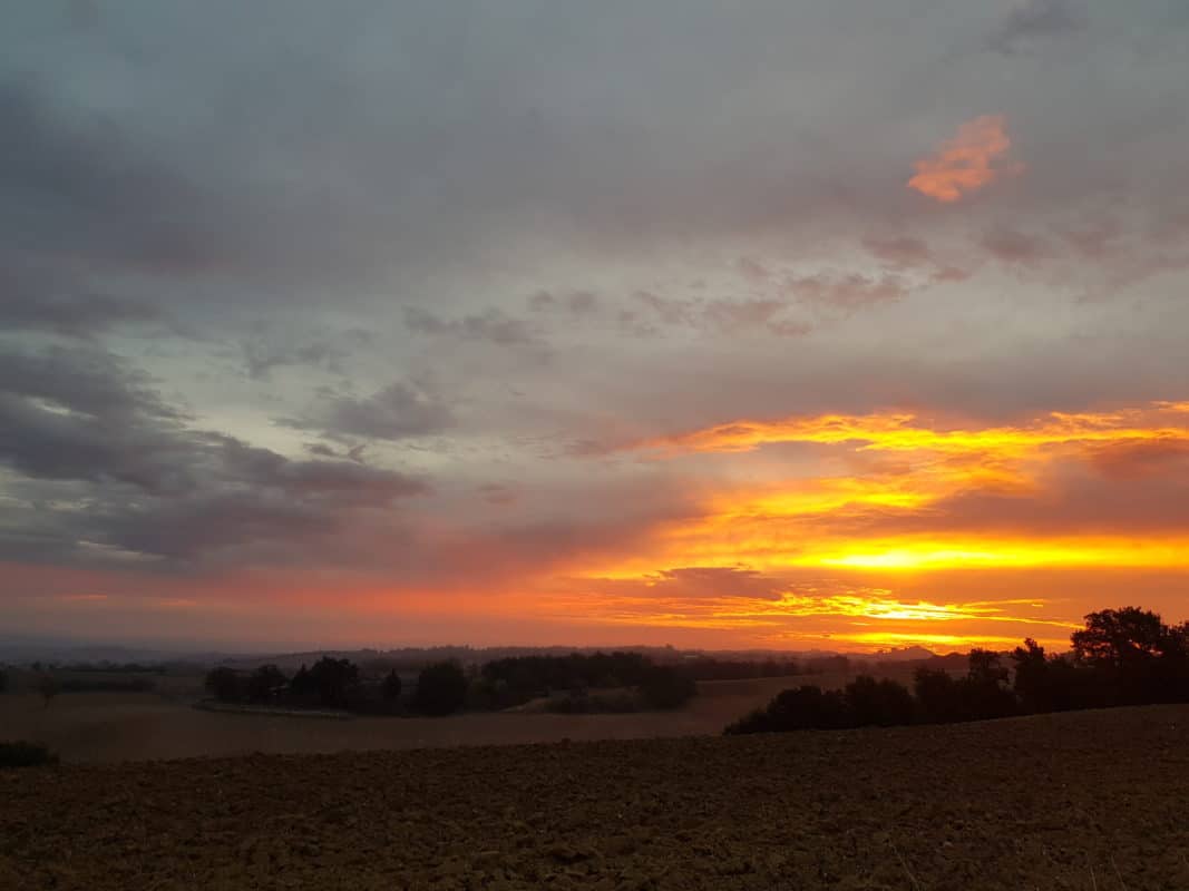 canicross lever de soleil