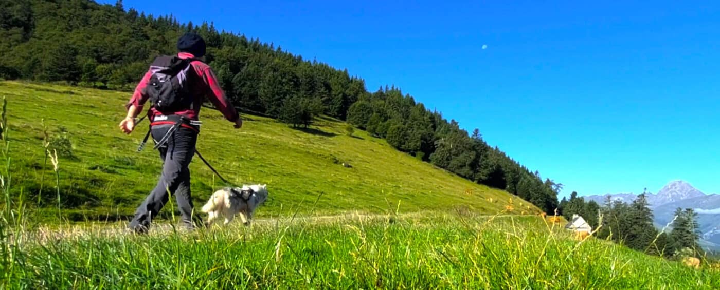 canirando randonner avec son chien