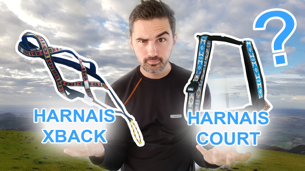 comparatif harnais court ou harnais xback manmat chien