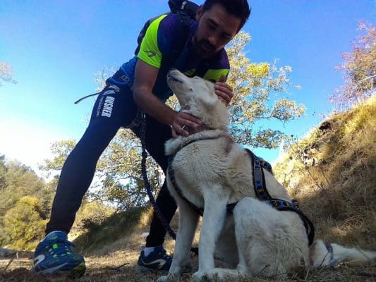 quand commencer le canicross - age du chien