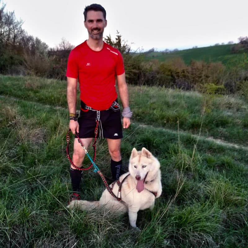 equipement canicross laisse baudrier harnais chien