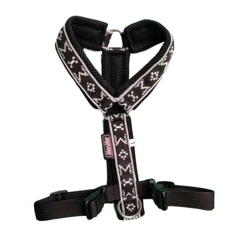 Harnais pour chiot collier ou harnais? lequel choisir?