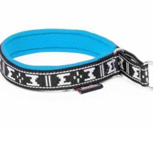 collier chien rembourre martingale bleu glacial