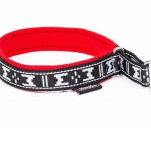 collier chien rembourre martingale rouge