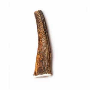 bois de cerf entier - friandise naturel chien