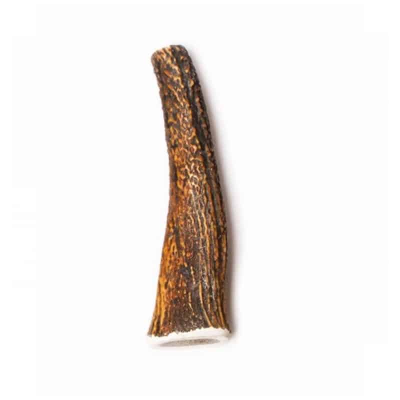 bois de cerf entier - friandise naturel chien