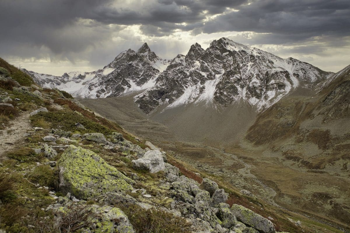 bottine pour chien chemin montagne