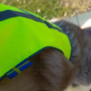 gilet fluorescent pour chien norvege waterproof winterproof