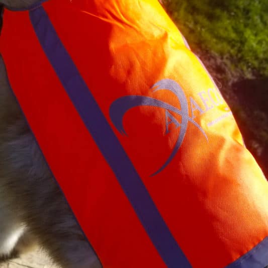 gilet fluorescent pour chien orange chasseur