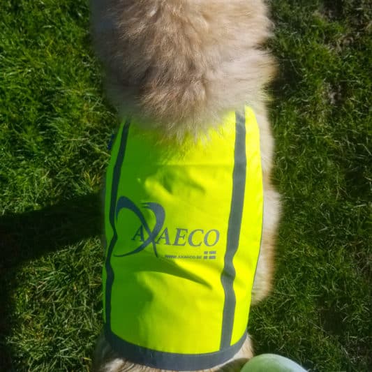 gilet fluorescent pour chien - veste jaune axaeco top