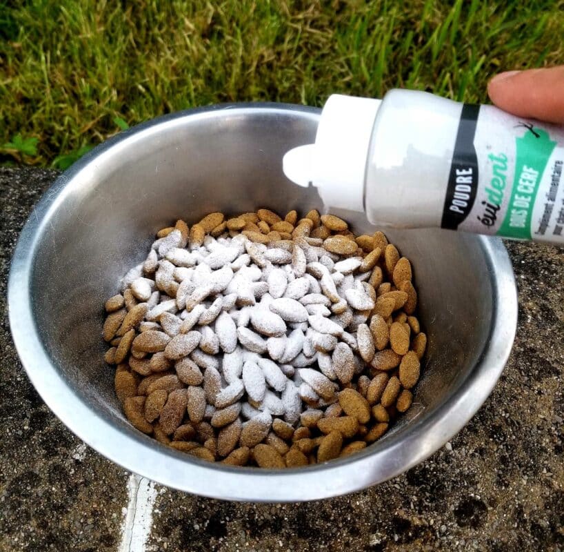 bois de cerf en poudre pour chien croquette gamelle