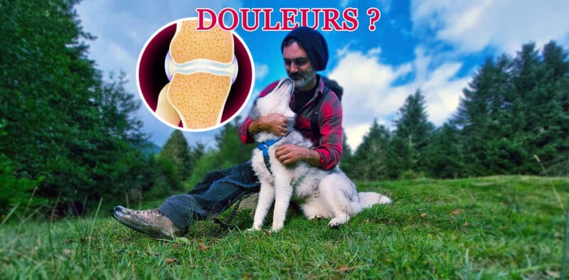 arthrose-sports-canin-guide-complet-chiens