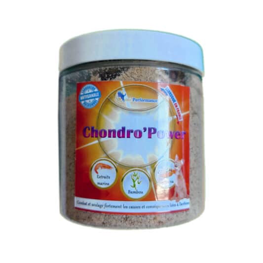 chondropower-arthrose-chien