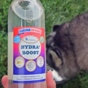 hydra boost bouteille hydratation chien
