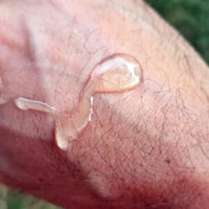 hydra boost texture
