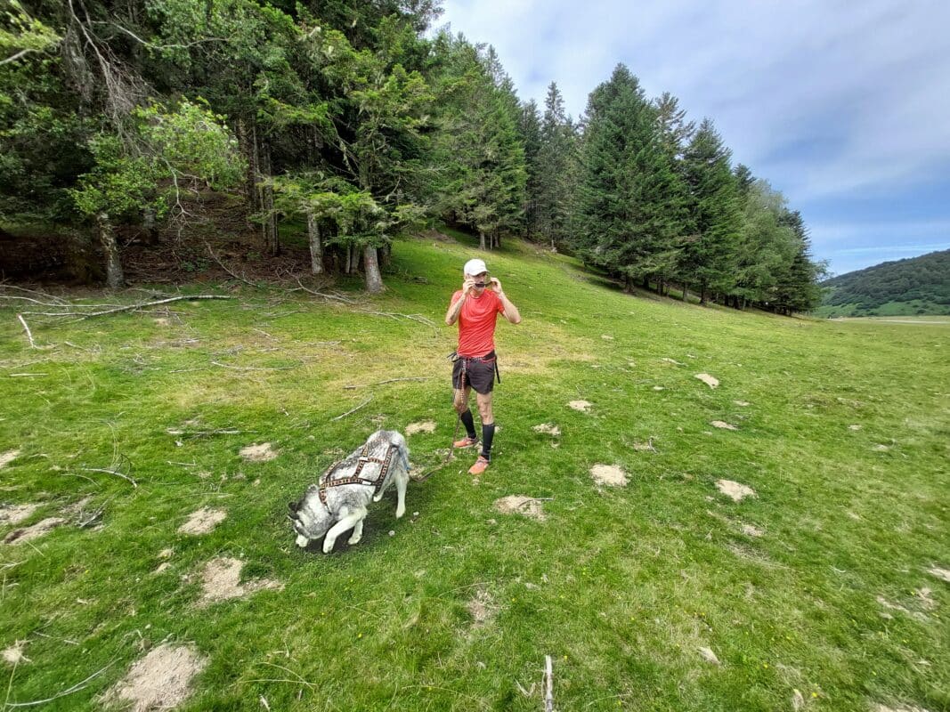 hydratation en canicross humain et chien