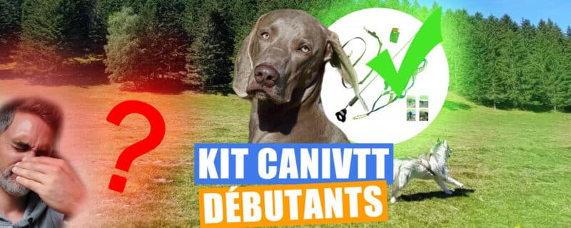 Comment choisir le bon Kit Cani VTT pour débutants